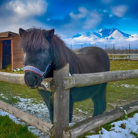 Tatragolf Mountain 4*