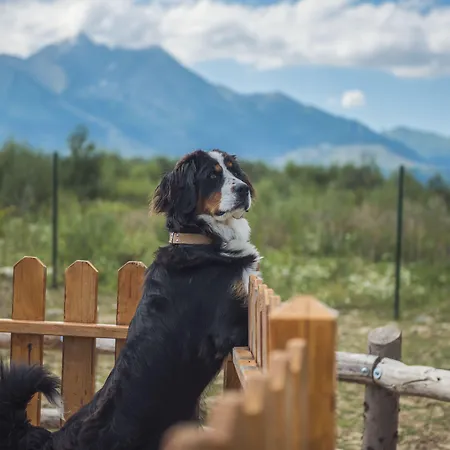 Tatragolf Mountain Ξενοδοχείο