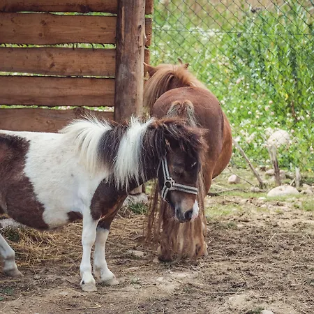 فندق Tatragolf Mountain Vysoké Tatry