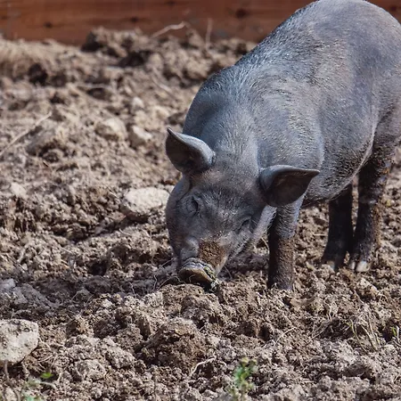 فندق Tatragolf Mountain Vysoké Tatry
