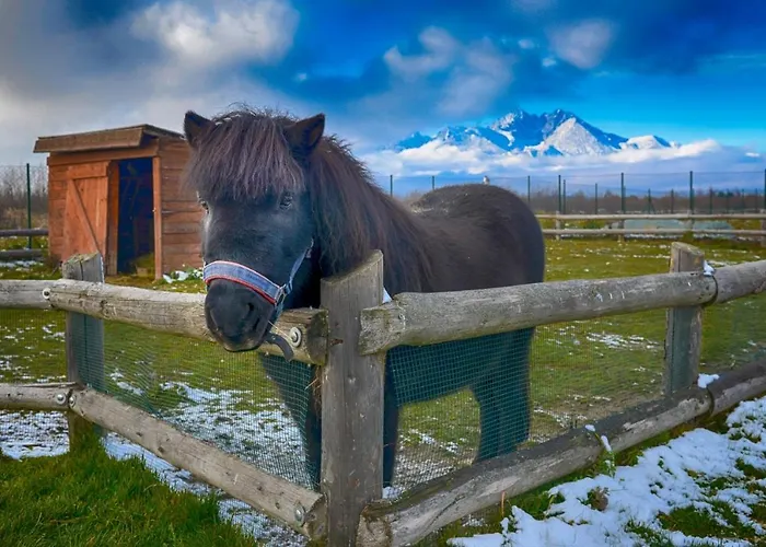 Tatragolf Mountain 4*