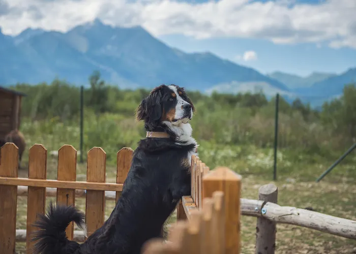 Tatragolf Mountain Szálloda