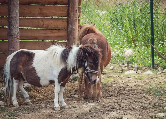 Szálloda Tatragolf Mountain Vysoké Tatry